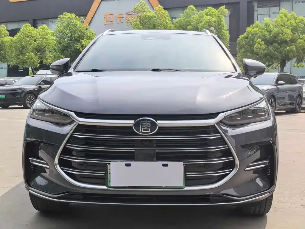 BYD Tang New Energy 2023 из CN, фото 2