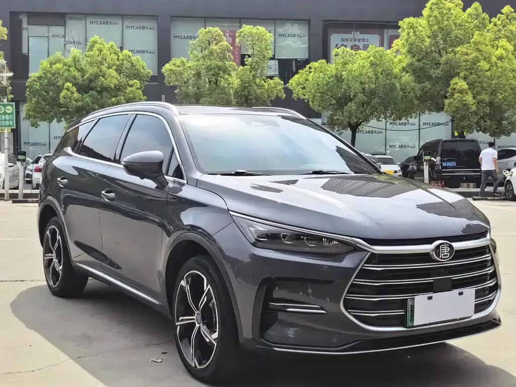 BYD Tang New Energy 2023 из CN, фото 9