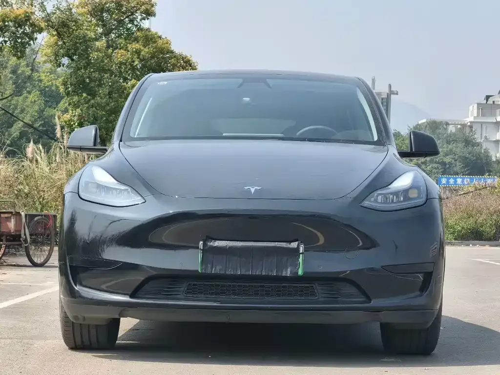 Tesla Model Y — фото 9