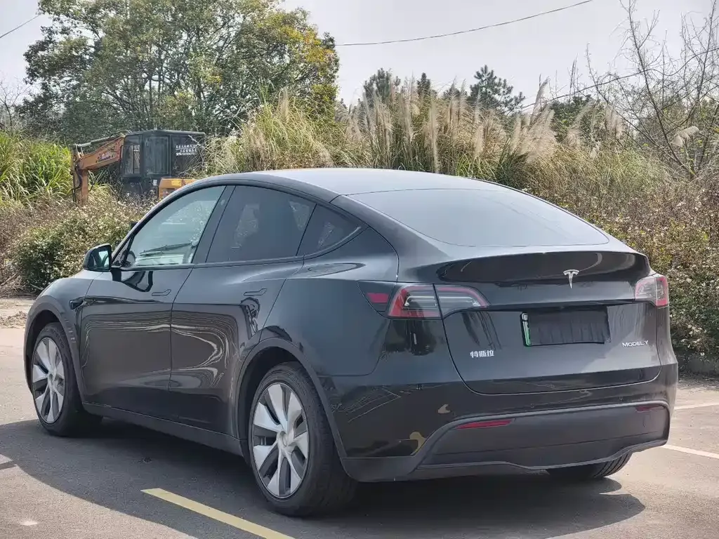 Tesla Model Y — фото 8