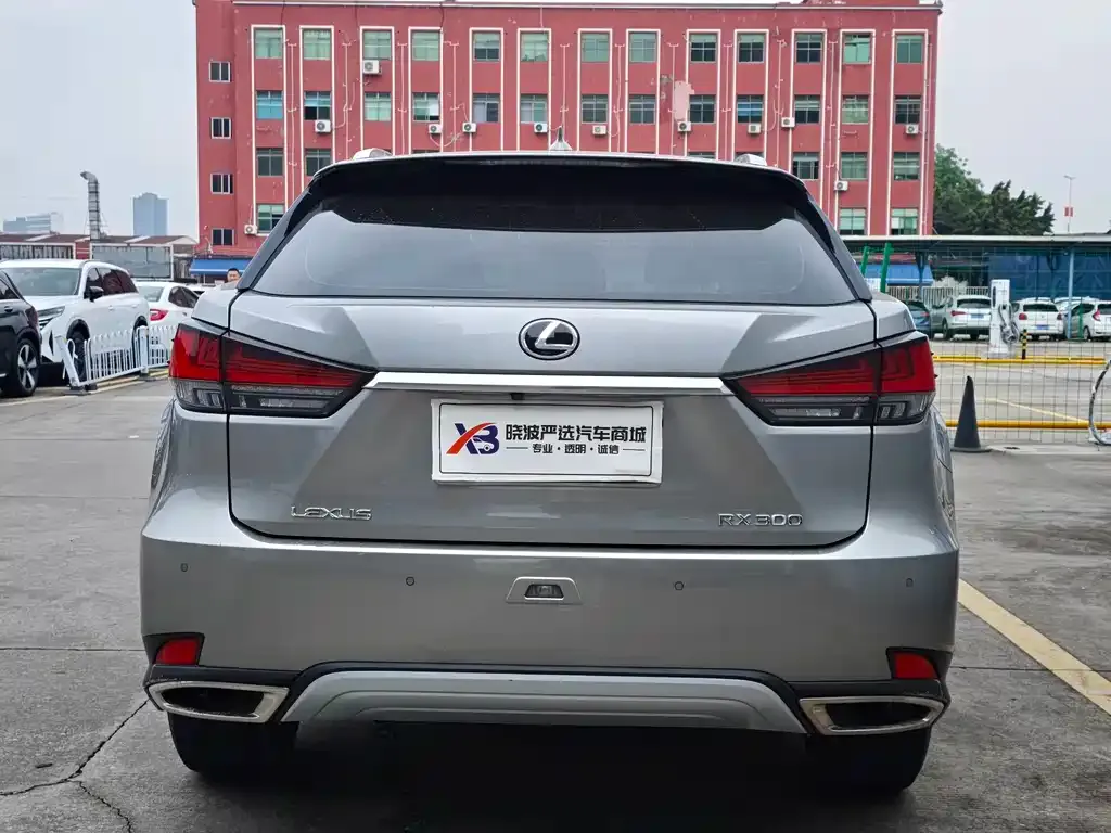 Lexus RX 2021 из CN, фото 8