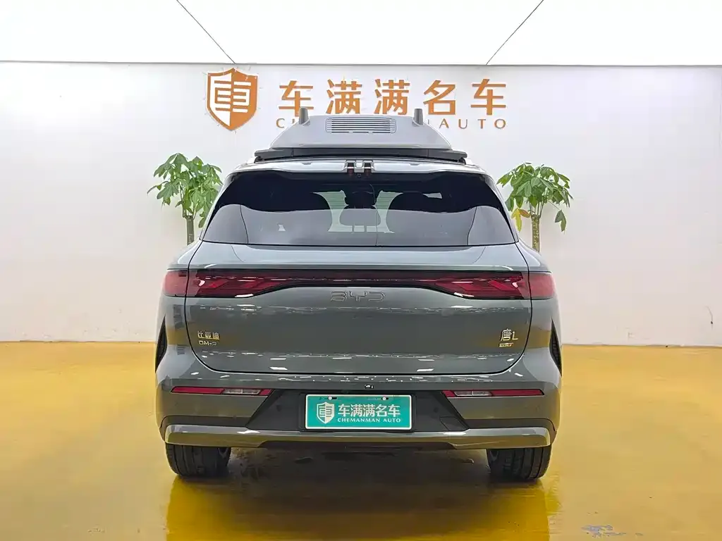 BYD Tang L 2025 из CN, фото 4