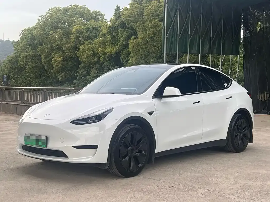 Tesla Model Y 2024 из CN, фото 1