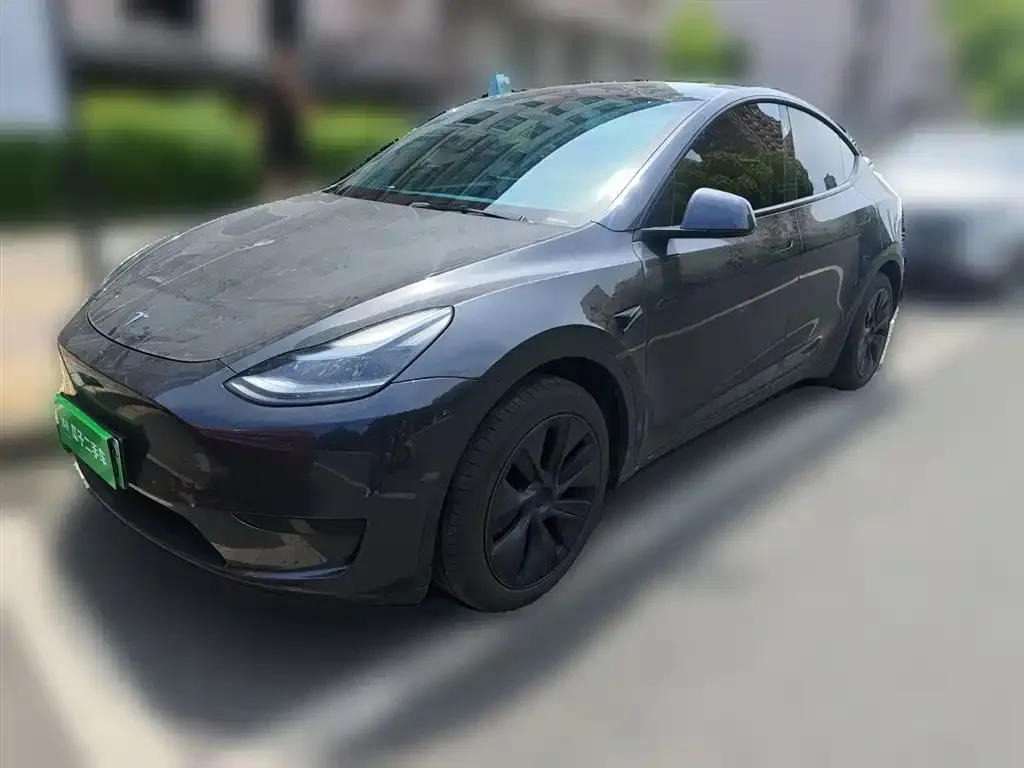 Tesla Model Y — фото 3