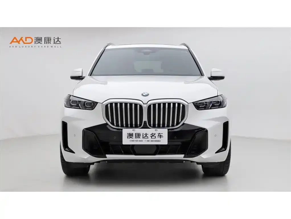 BMW X5 2024 из CN, фото 3