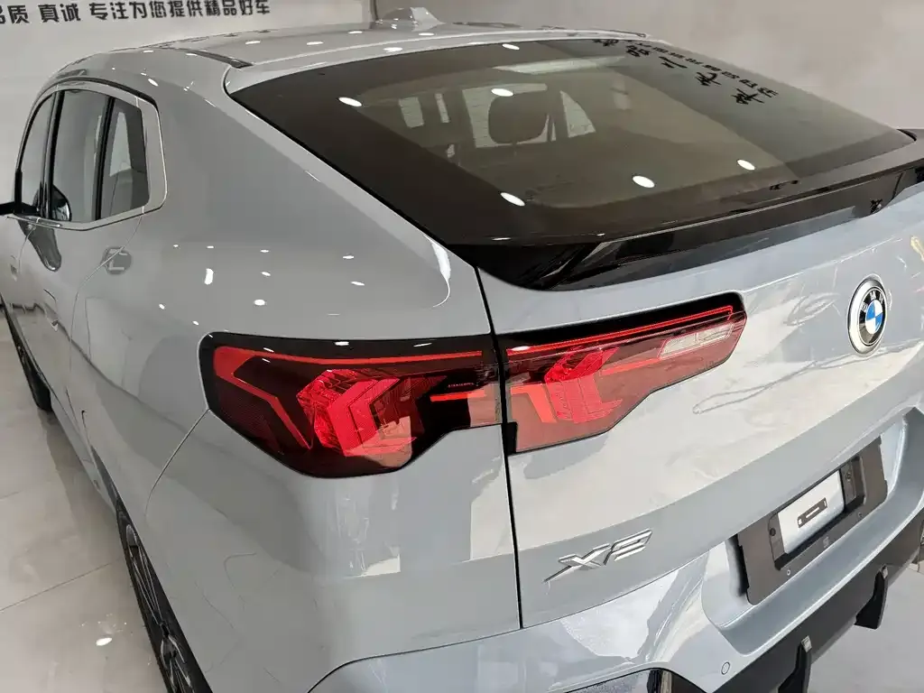 BMW X2 (Import) 2025 из CN, фото 9