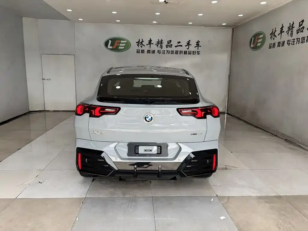 BMW X2 (Import) 2025 из CN, фото 4