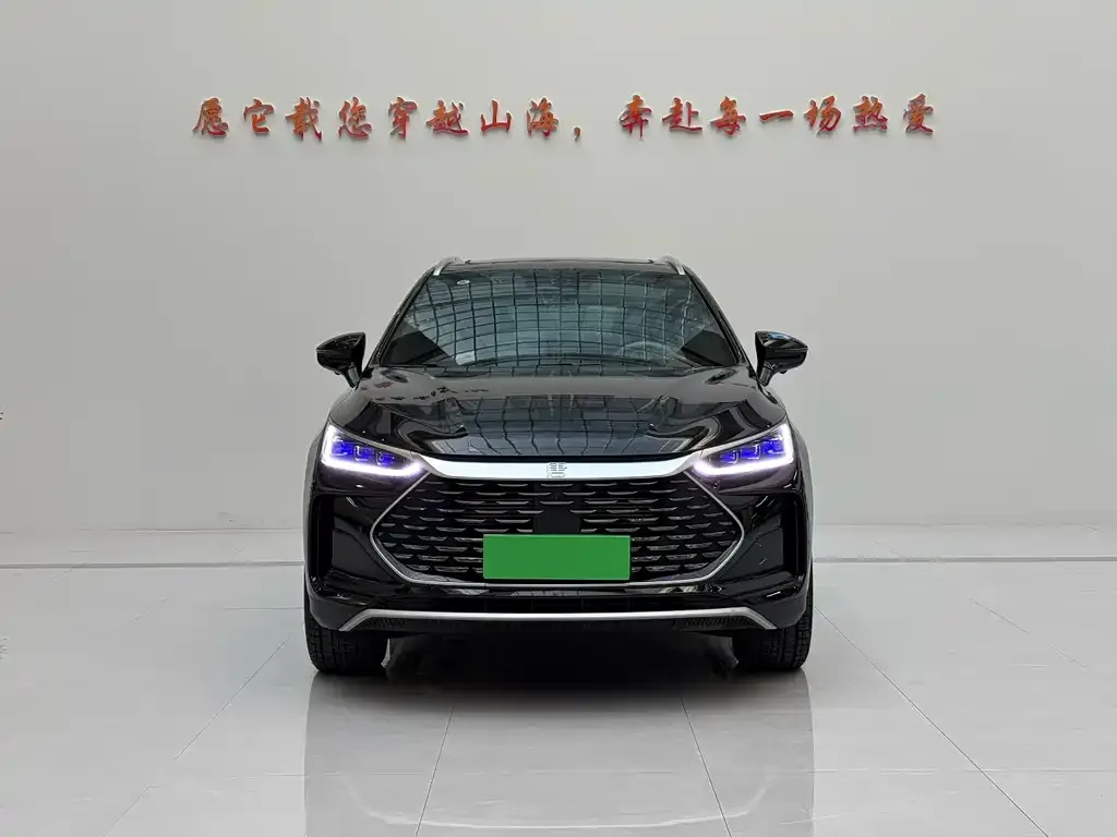 BYD Tang New Energy — фото 9