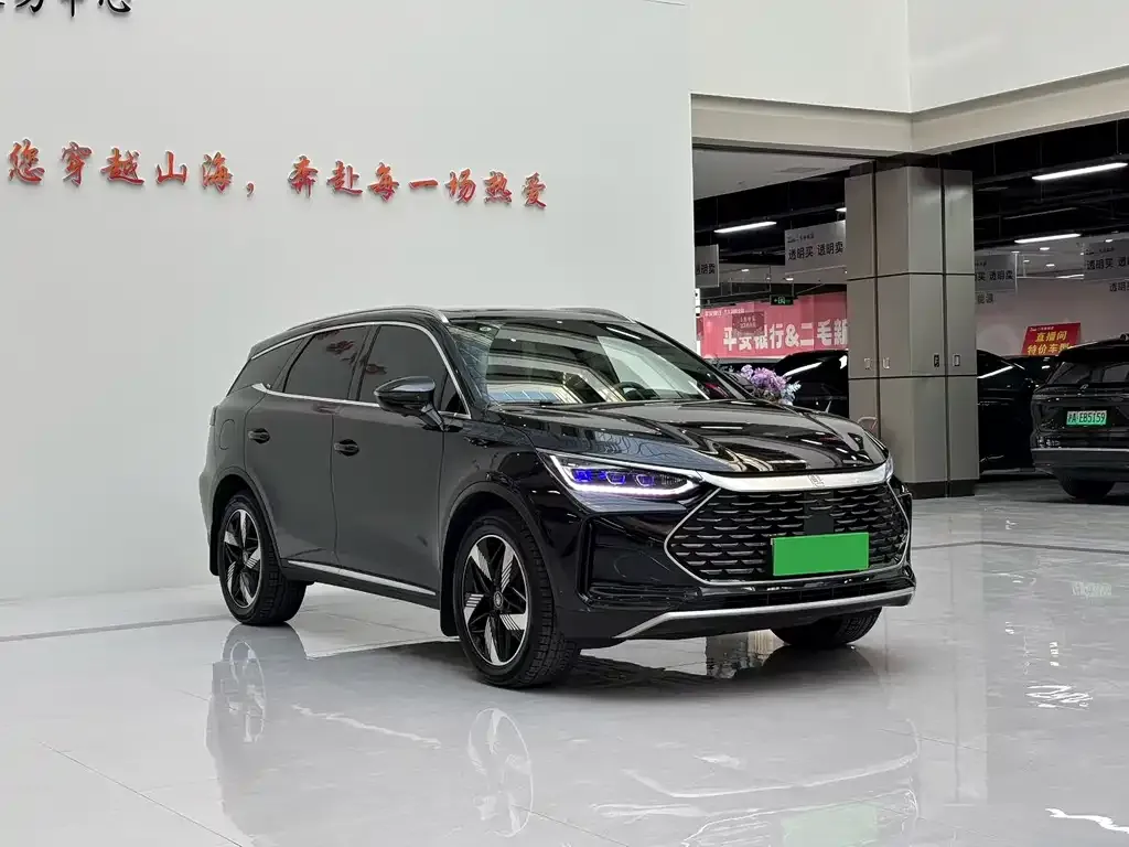 BYD Tang New Energy — фото 3