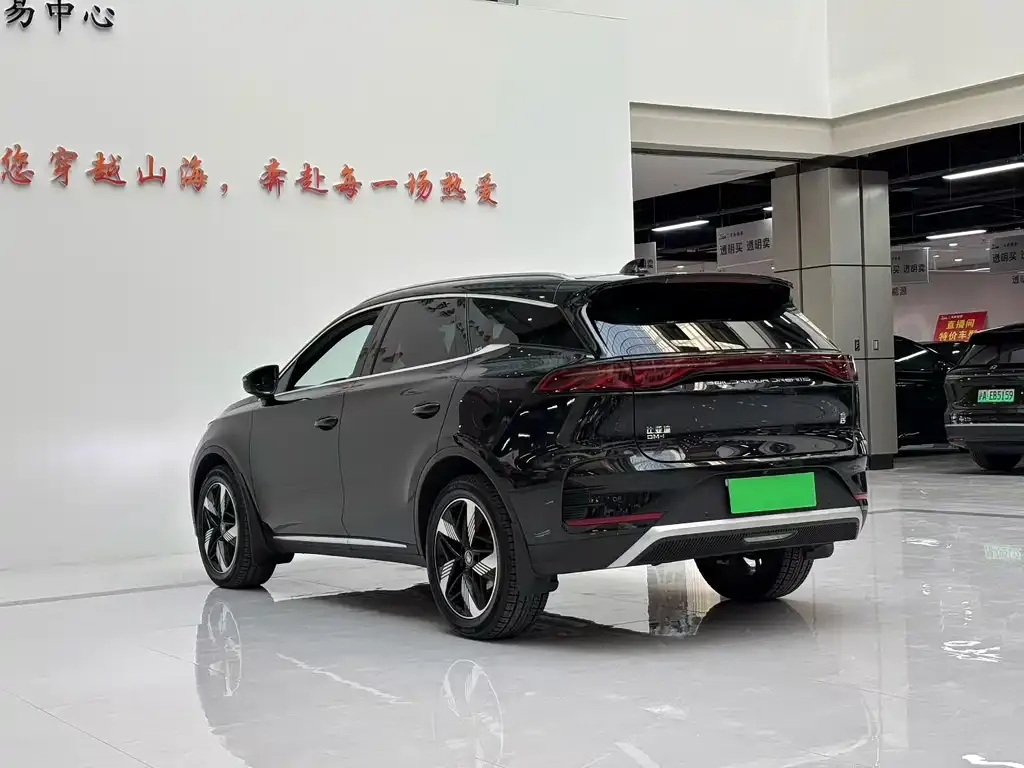 BYD Tang New Energy — фото 7