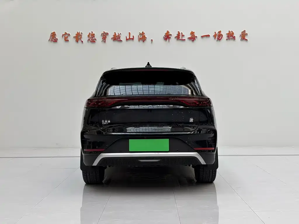 BYD Tang New Energy — фото 2