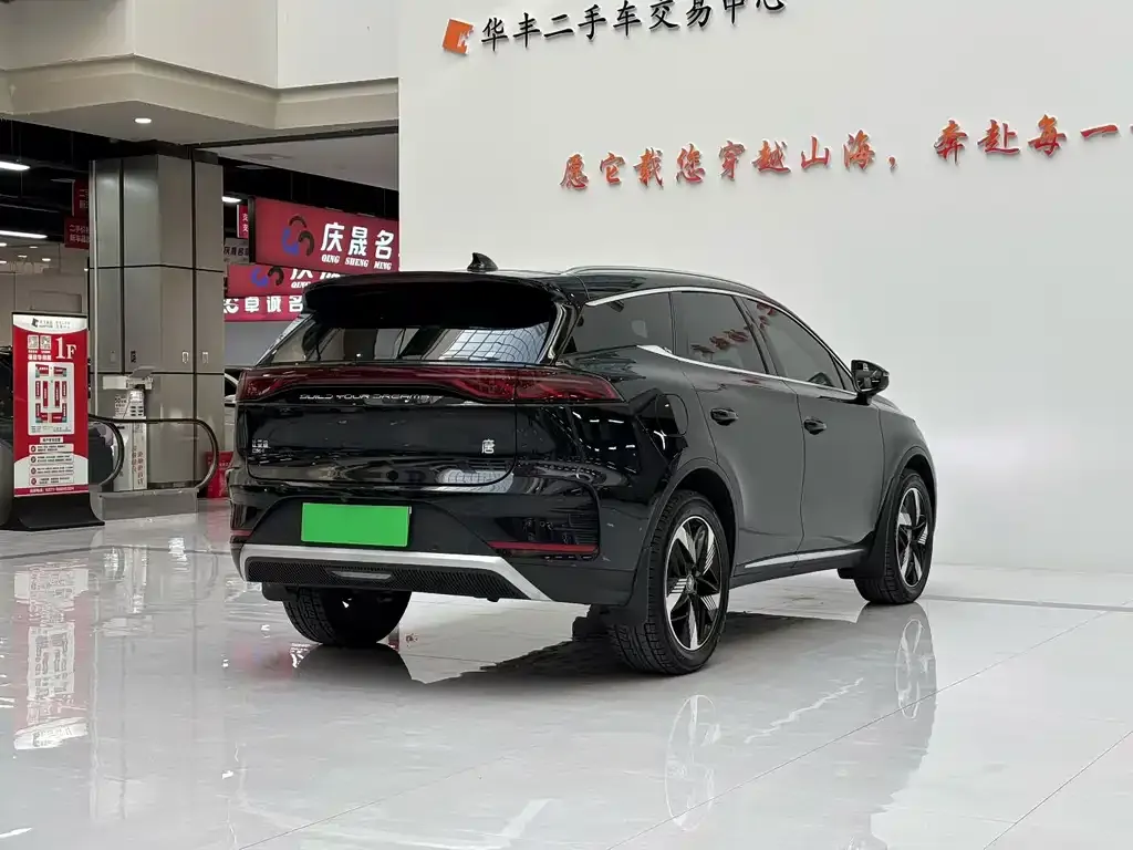 BYD Tang New Energy — фото 6