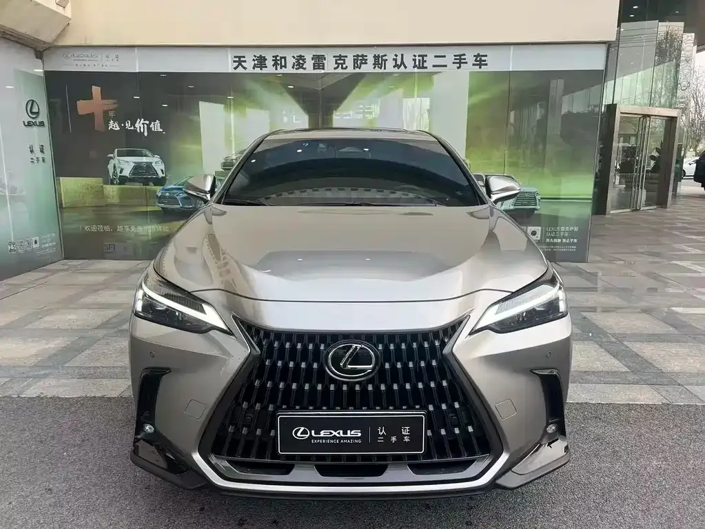 Lexus NX New Energy 2024 из CN, фото 3