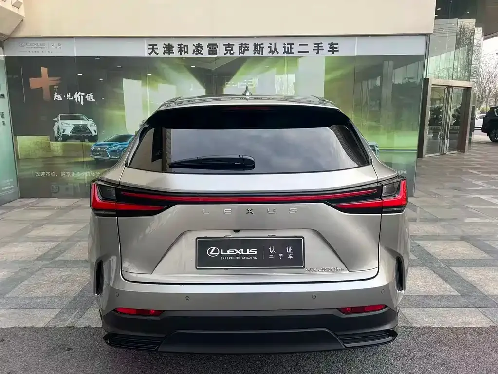 Lexus NX New Energy 2024 из CN, фото 5