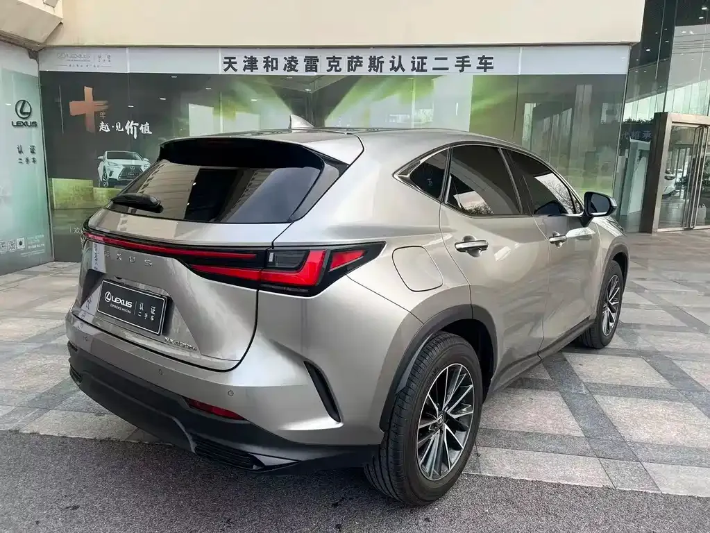 Lexus NX New Energy 2024 из CN, фото 9