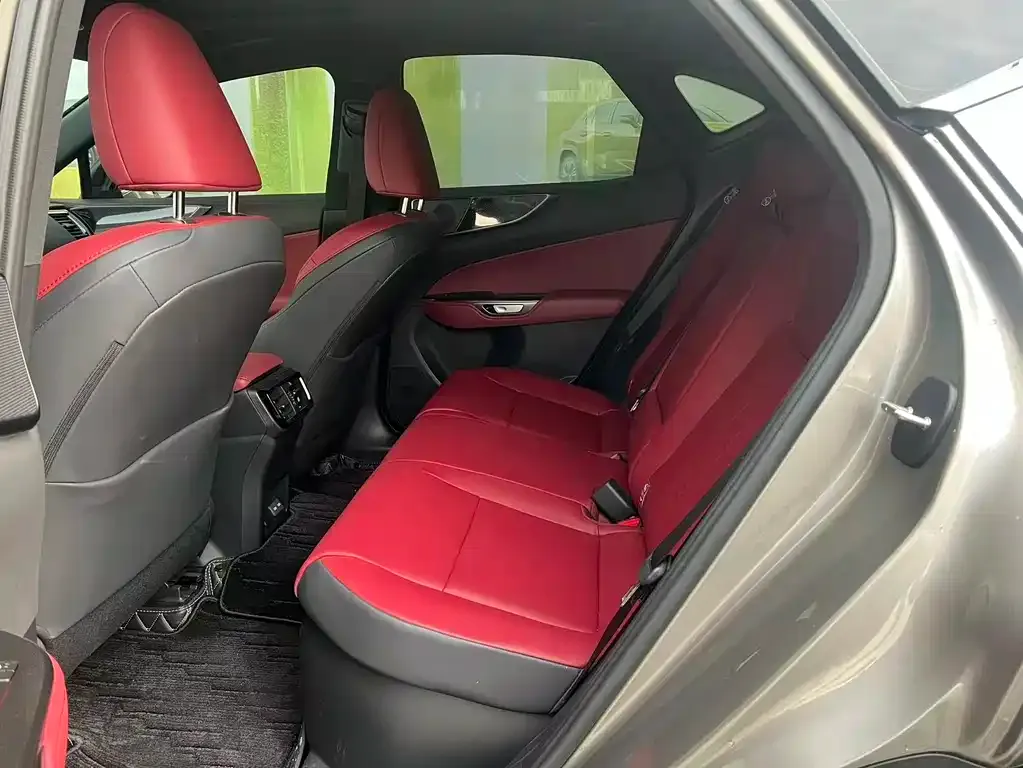 Lexus NX New Energy 2024 из CN, фото 4