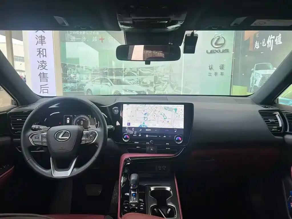 Lexus NX New Energy 2024 из CN, фото 6