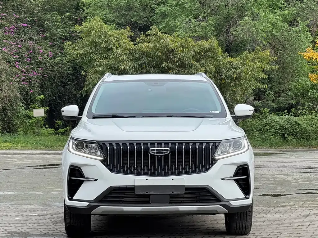 Geely Vision X6 2021 из CN, фото 5