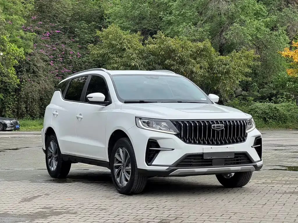 Geely Vision X6 2021 из CN, фото 4