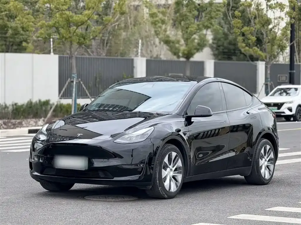 Tesla Model Y — фото 6