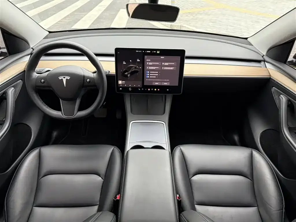 Tesla Model Y — фото 10