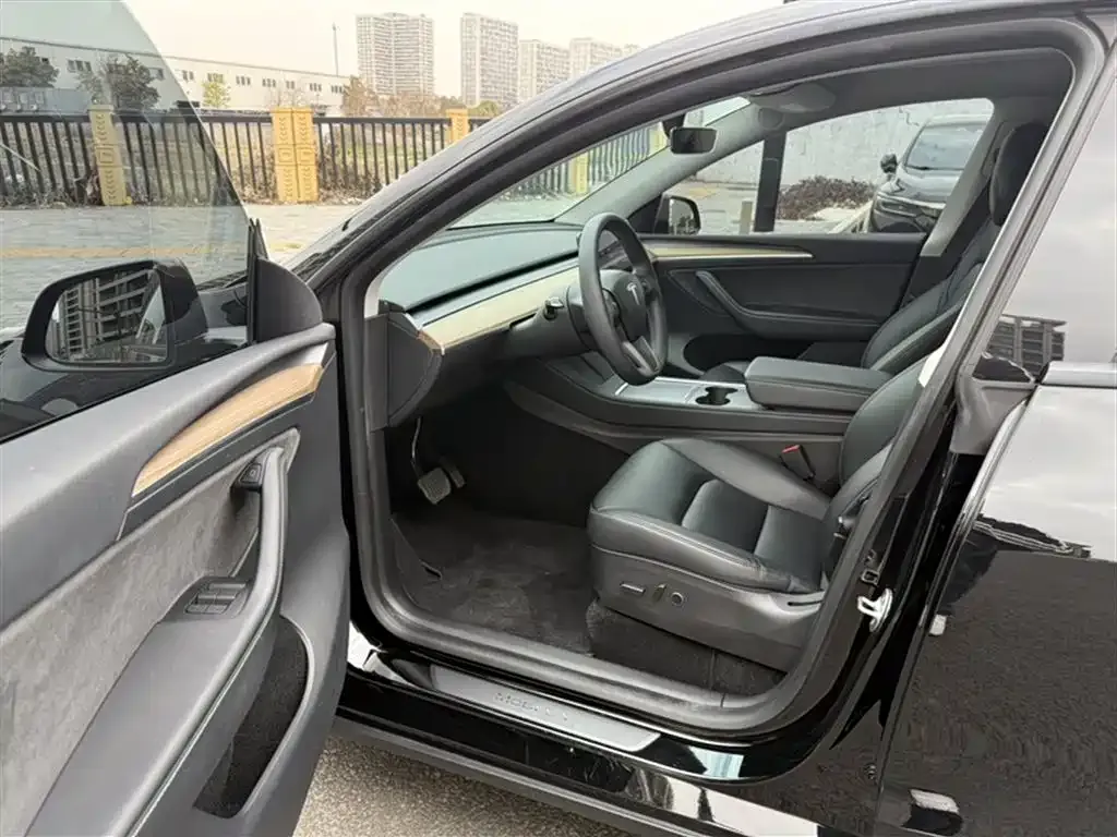 Tesla Model Y — фото 9