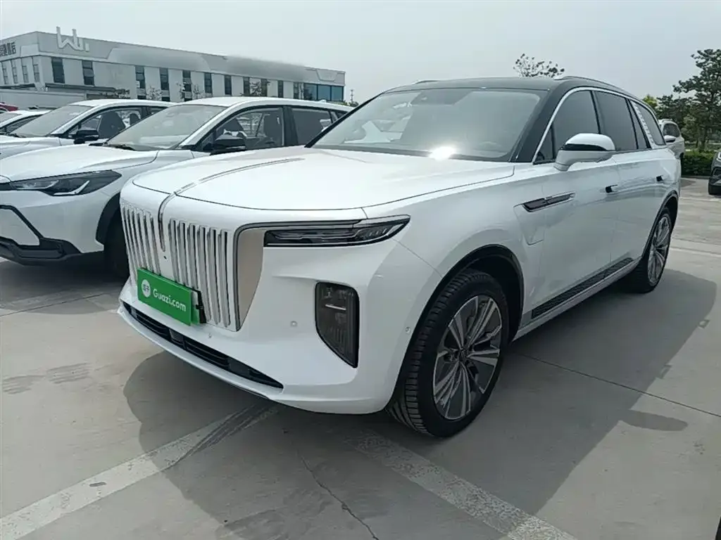 Hongqi E-HS9 — фото 1