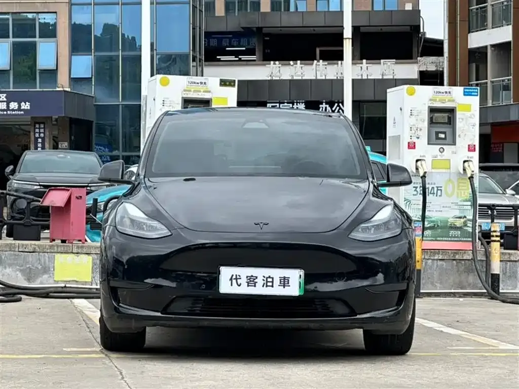 Tesla Model Y — фото 8