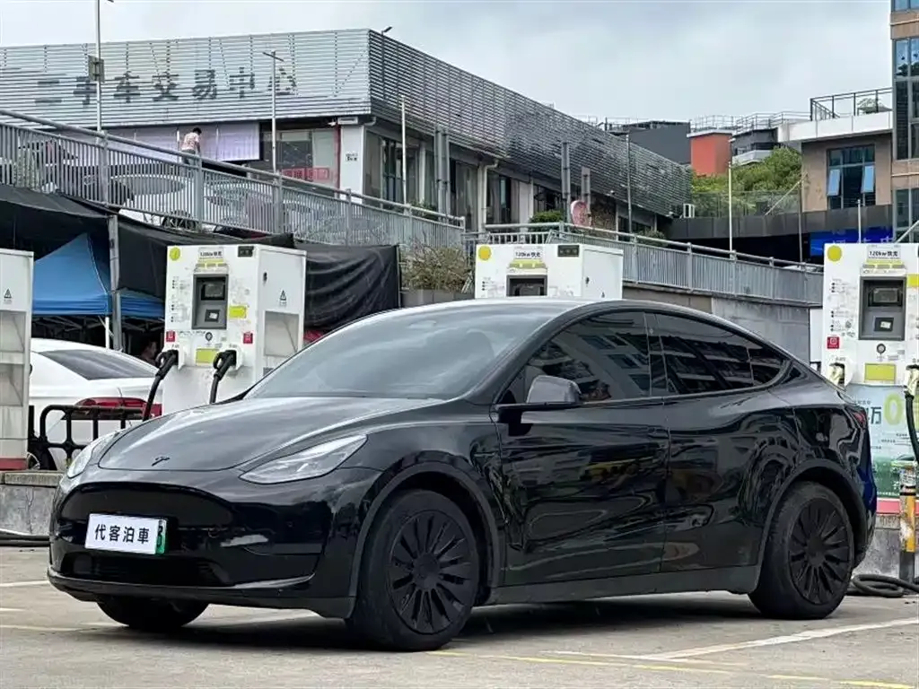 Tesla Model Y — фото 5