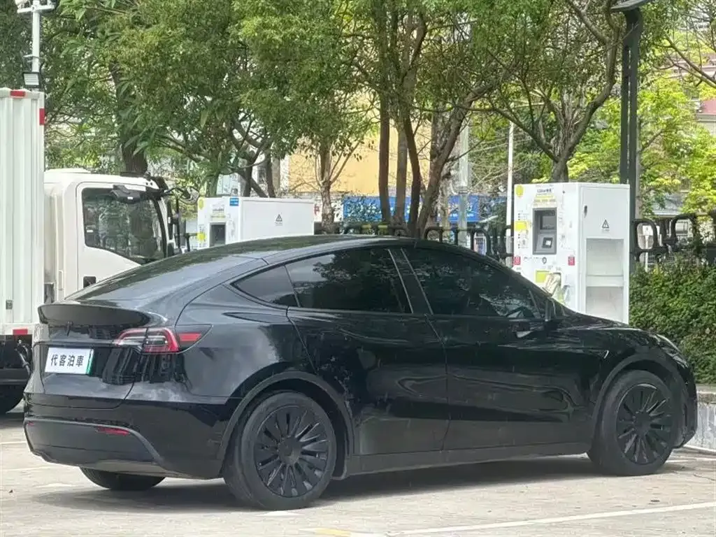 Tesla Model Y — фото 9