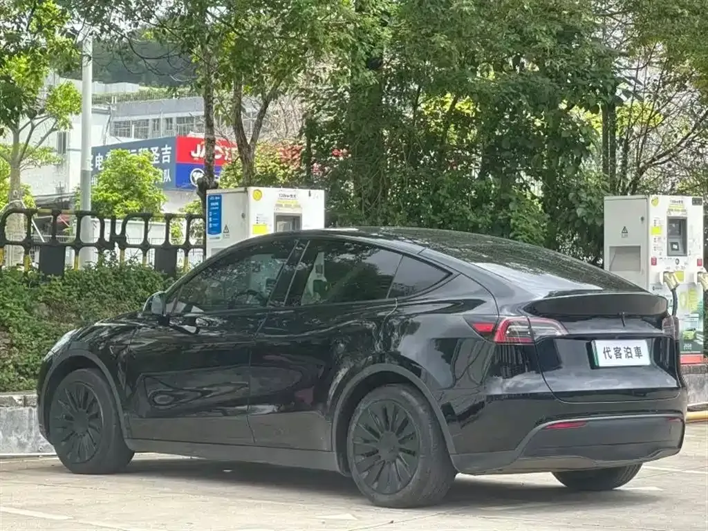 Tesla Model Y — фото 6