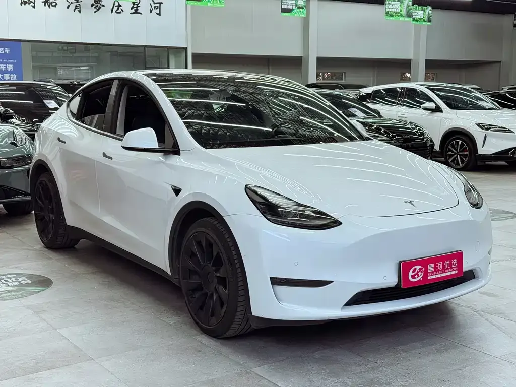Tesla Model Y — фото 3