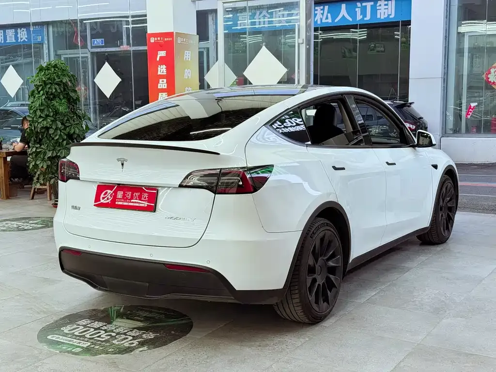 Tesla Model Y — фото 9