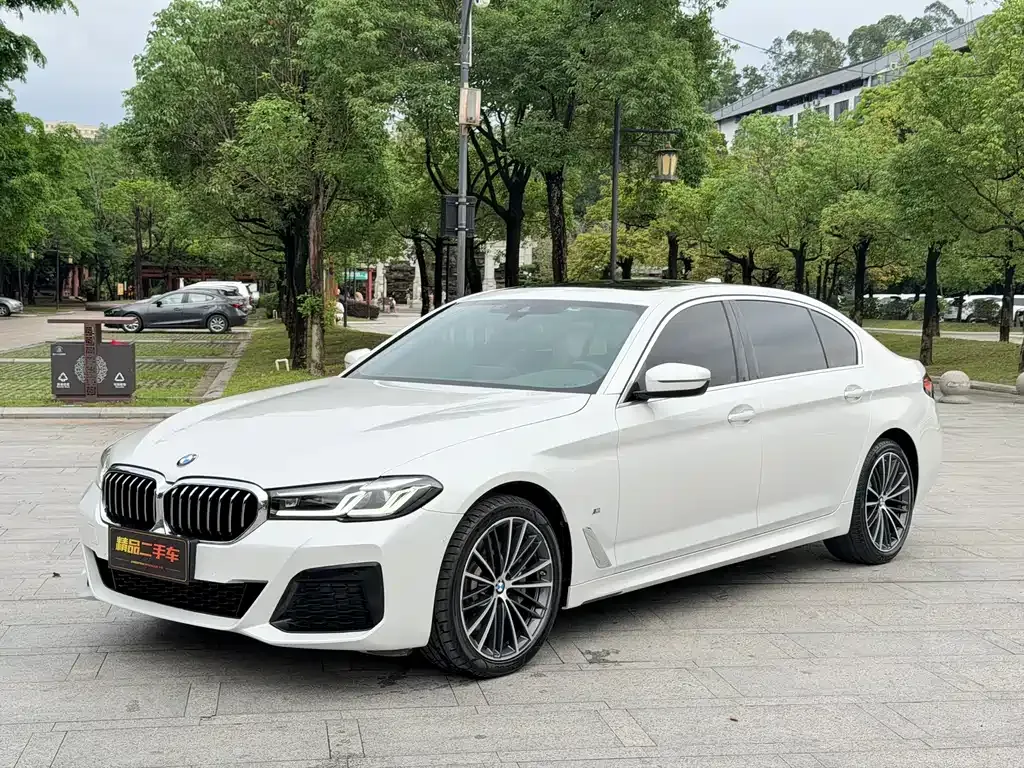 BMW 5 Series 2022 из CN, фото 1