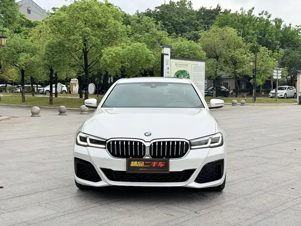 BMW 5 Series 2022 из CN, фото 4