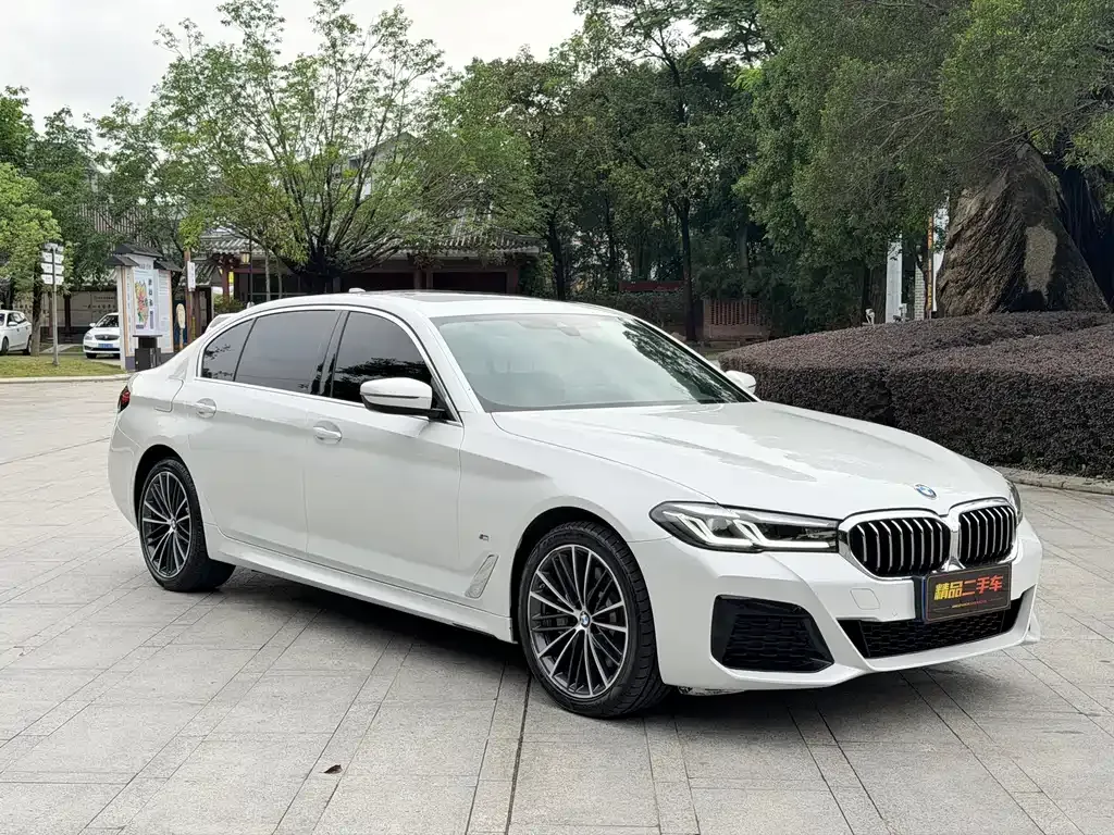 BMW 5 Series 2022 из CN, фото 5