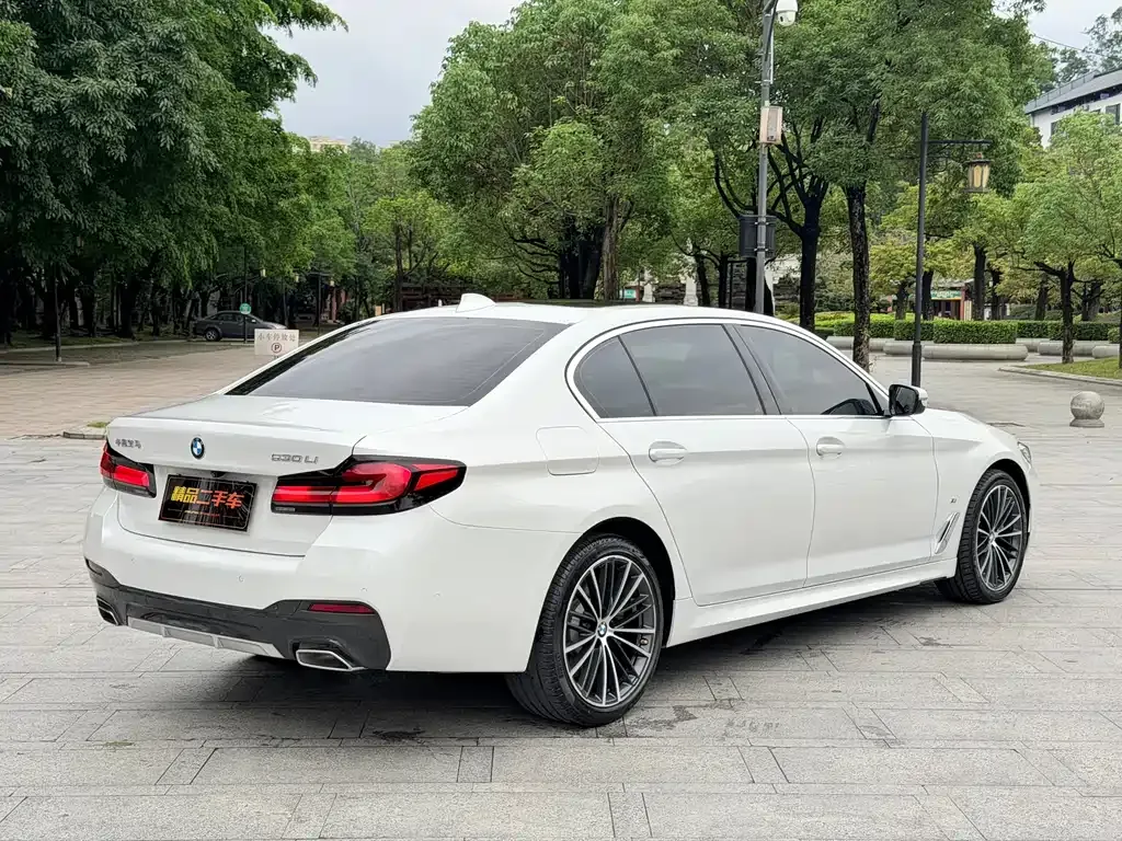 BMW 5 Series 2022 из CN, фото 10