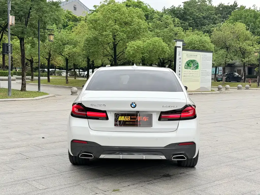 BMW 5 Series 2022 из CN, фото 7