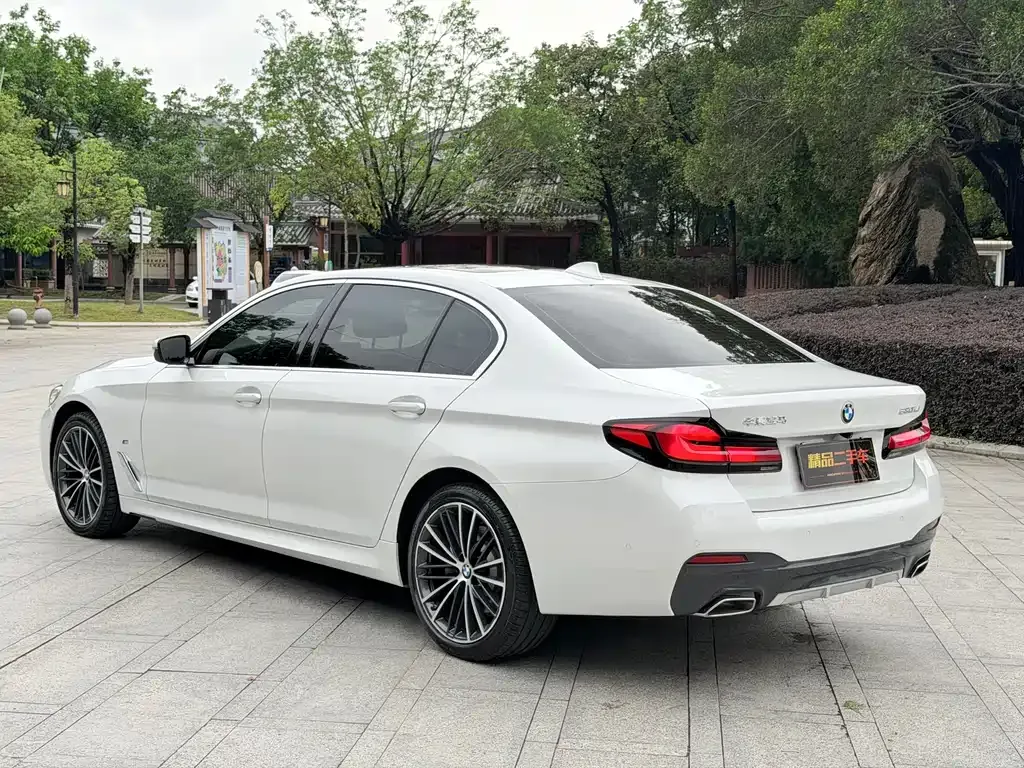 BMW 5 Series 2022 из CN, фото 8