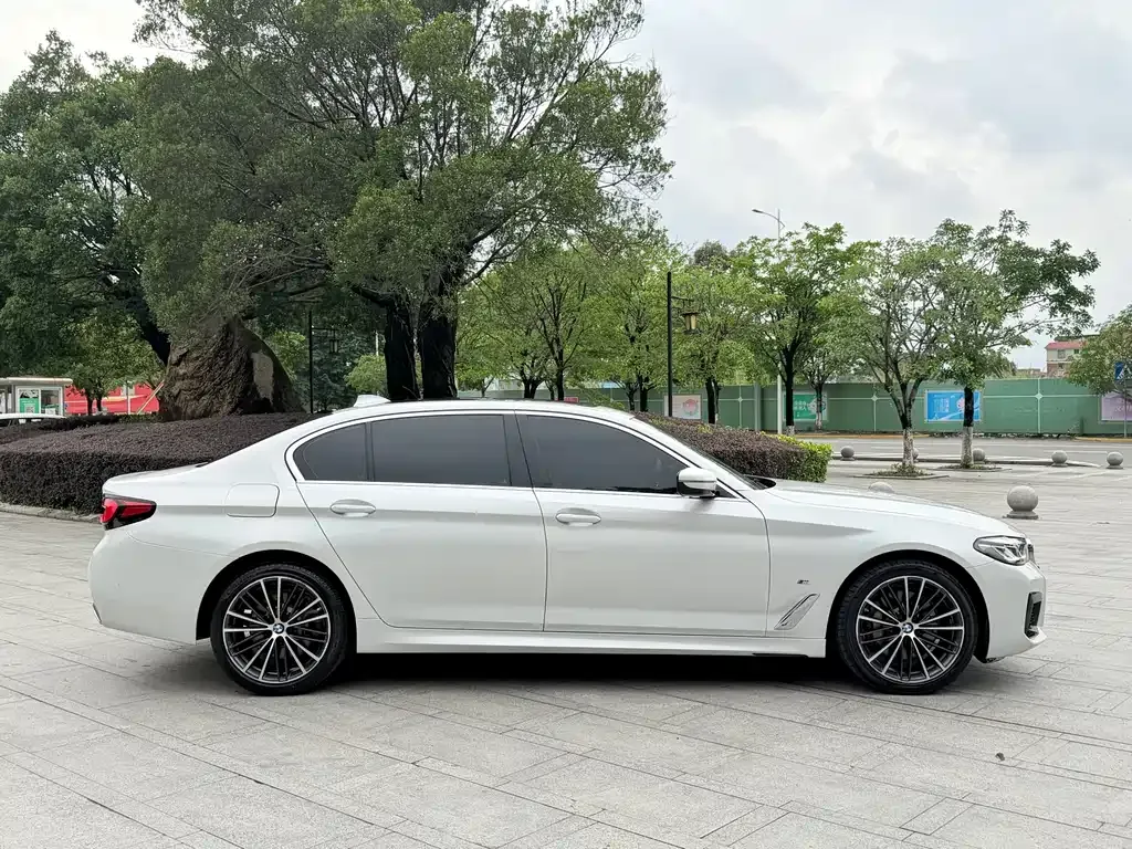 BMW 5 Series 2022 из CN, фото 9