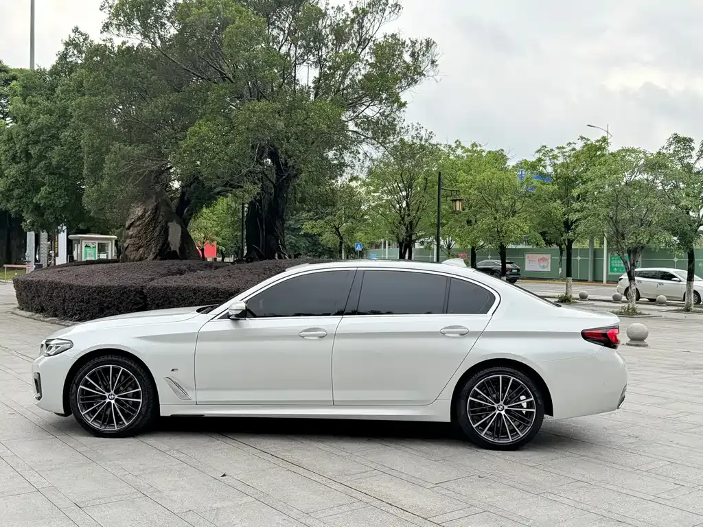 BMW 5 Series 2022 из CN, фото 6