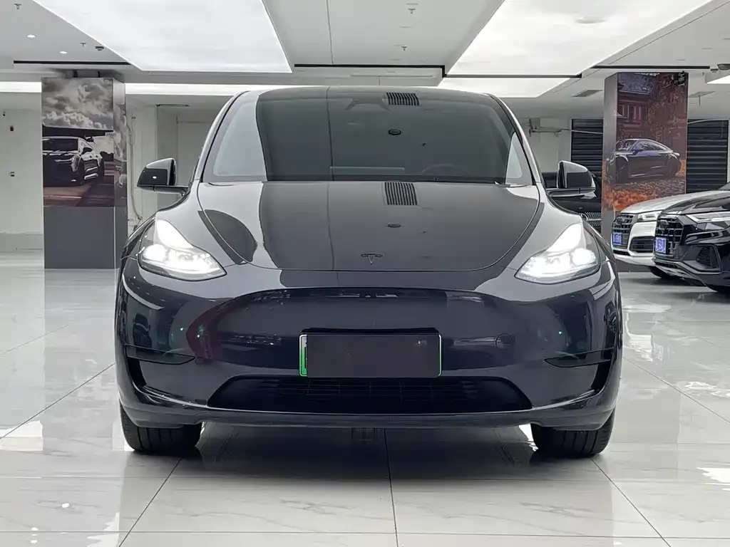 Tesla Model Y — фото 9