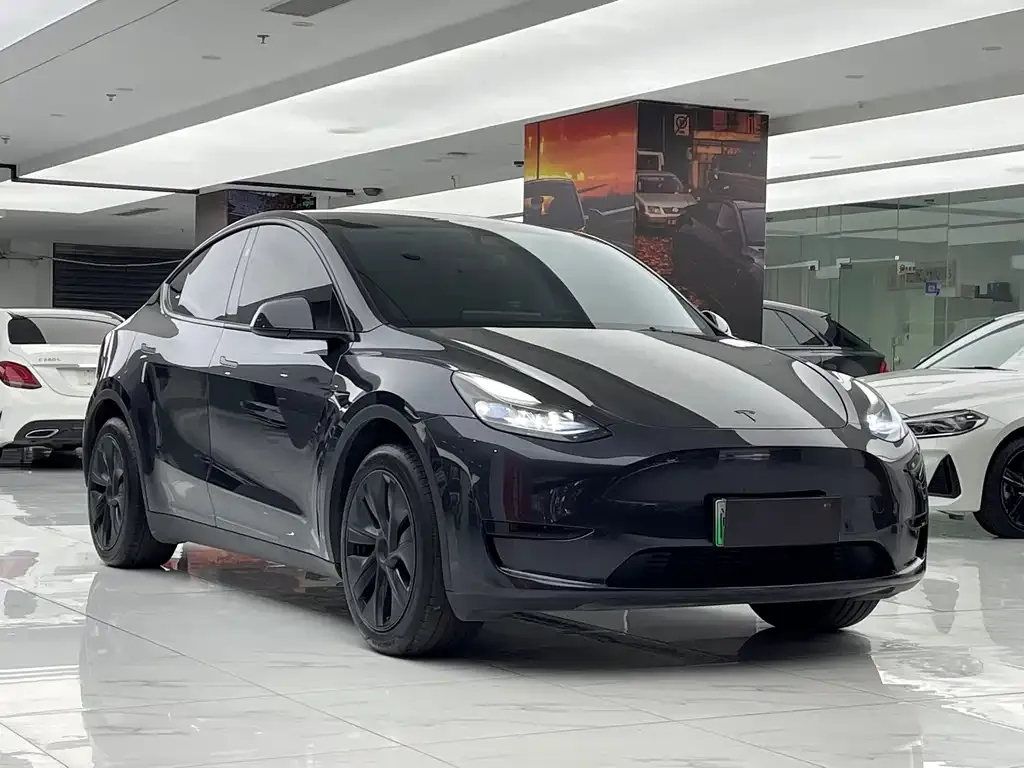 Tesla Model Y — фото 10