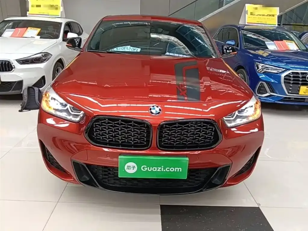 BMW X2 2021 из CN, фото 10