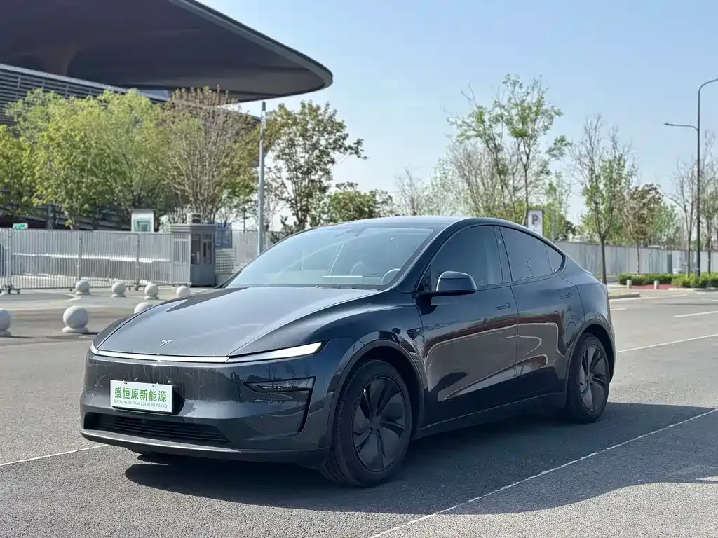 Tesla Model Y — фото 1