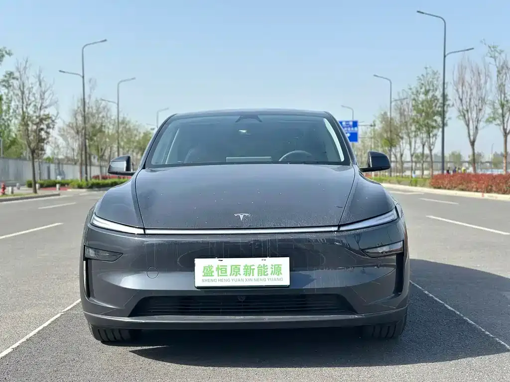 Tesla Model Y — фото 6