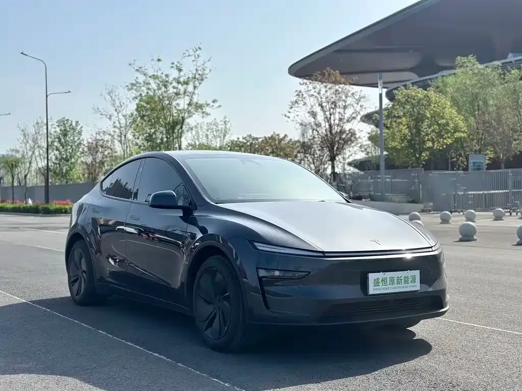 Tesla Model Y — фото 3