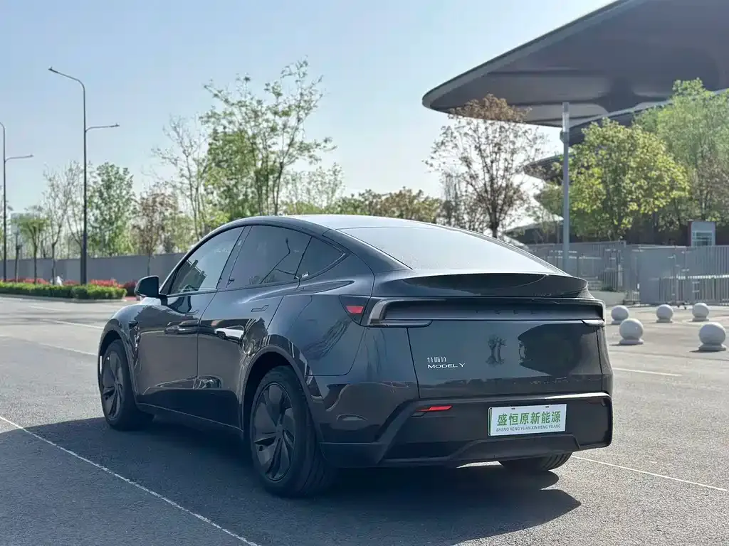 Tesla Model Y — фото 10