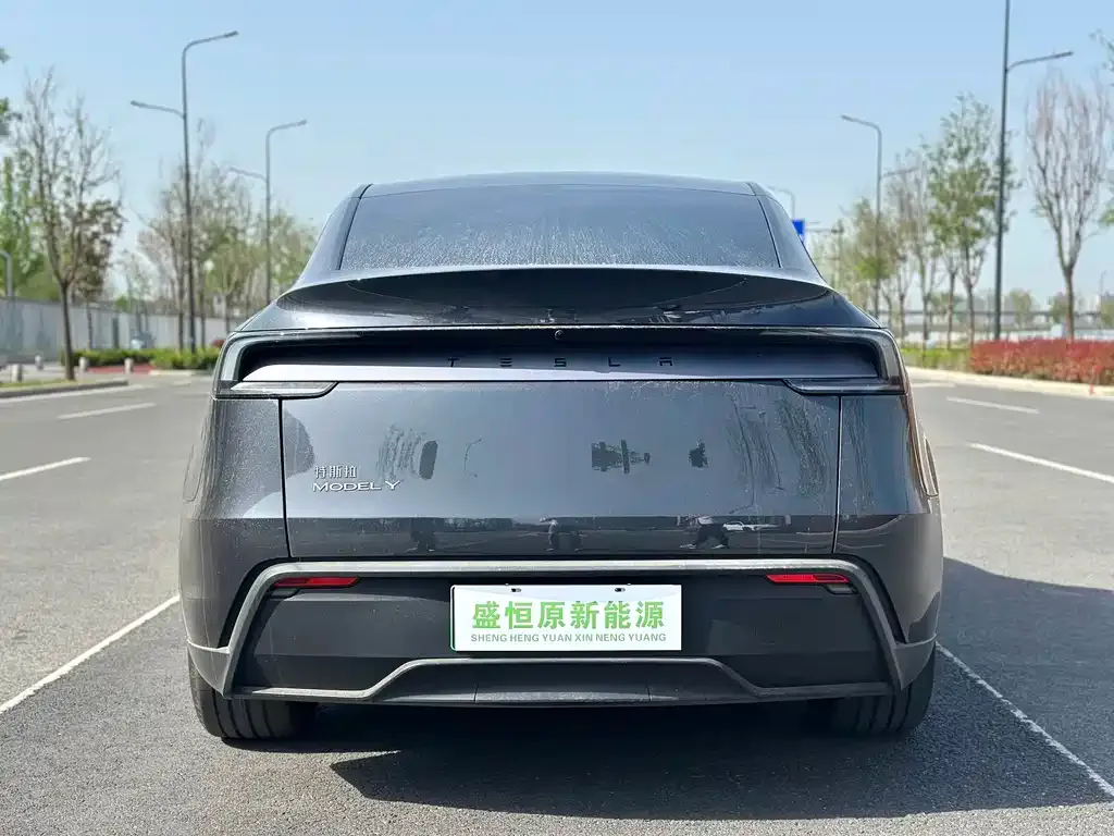 Tesla Model Y — фото 5