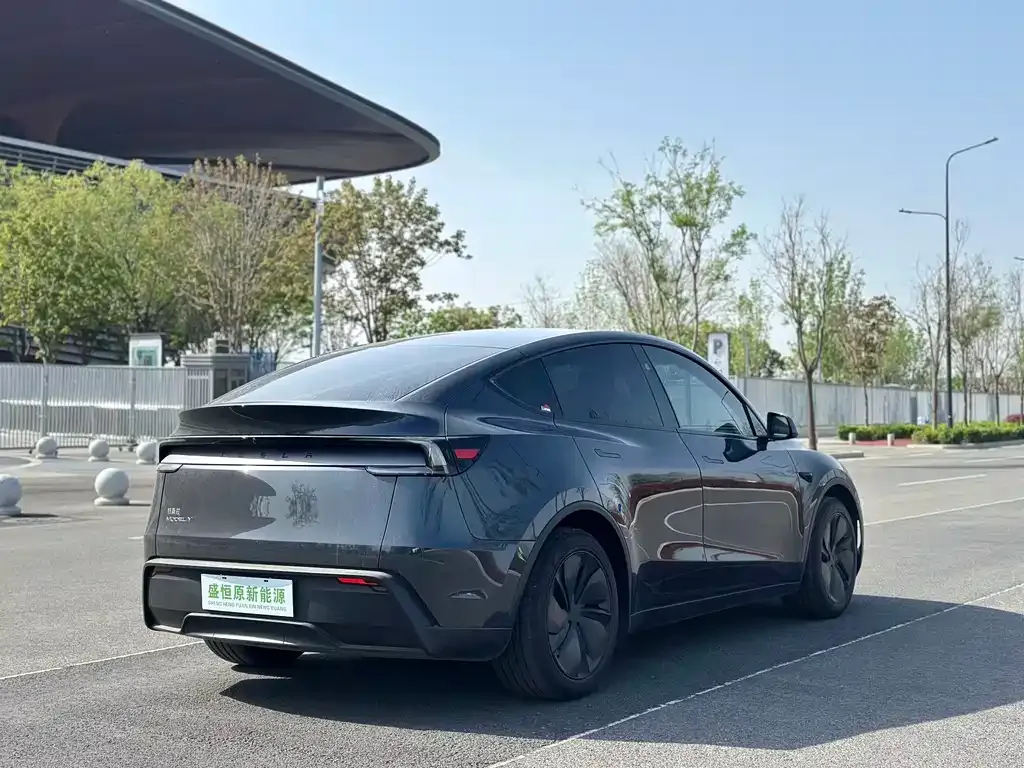 Tesla Model Y — фото 8